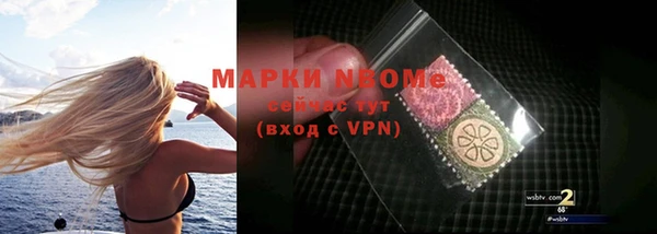 гидра Вязники