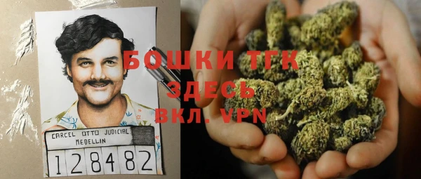 гидра Вязники