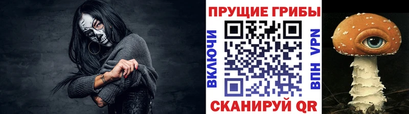 даркнет наркотические препараты  Железногорск  Галлюциногенные грибы Psilocybe  купить закладку 